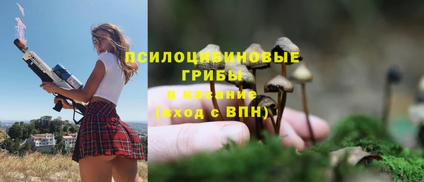 спайс Михайловка