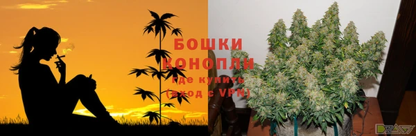 ALPHA-PVP Горнозаводск
