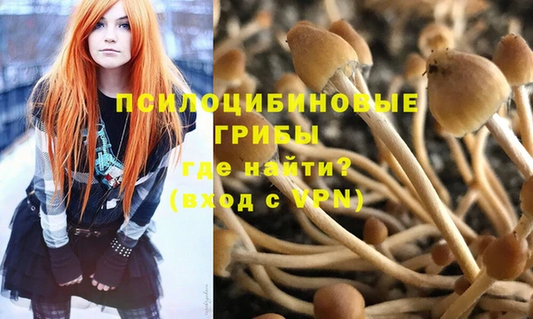 гидра Горно-Алтайск