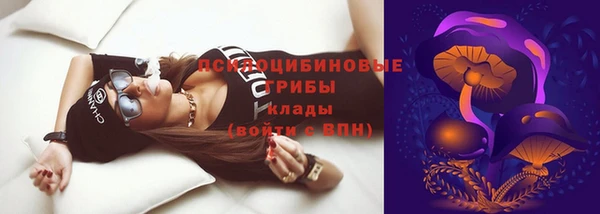 тгк Горняк