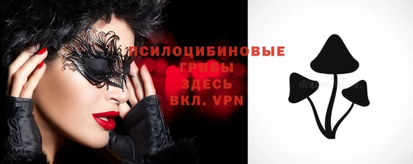 первитин Вяземский