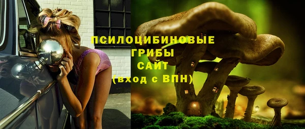 ALPHA-PVP Горнозаводск