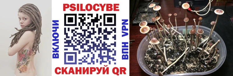 OMG вход  Пионерский  дарк нет формула  Псилоцибиновые грибы прущие грибы 